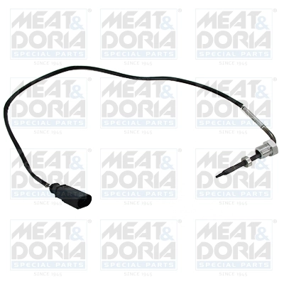 Sensor, exhaust gas temperature